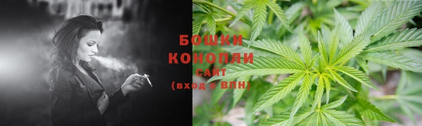 спайс Баксан