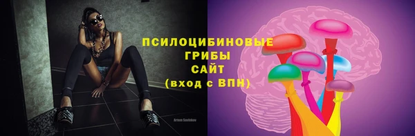 спайс Алексин