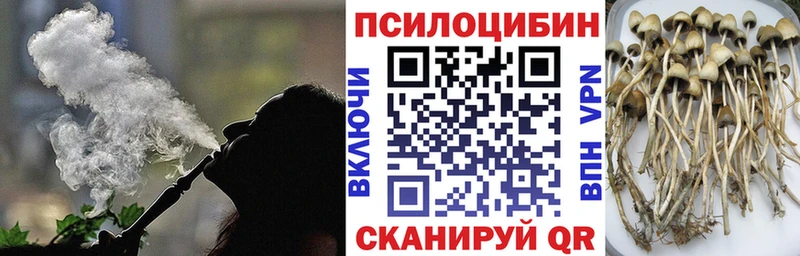 Галлюциногенные грибы GOLDEN TEACHER  Верея 